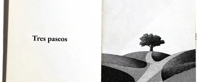 ilustración de una camino atravesando un campo