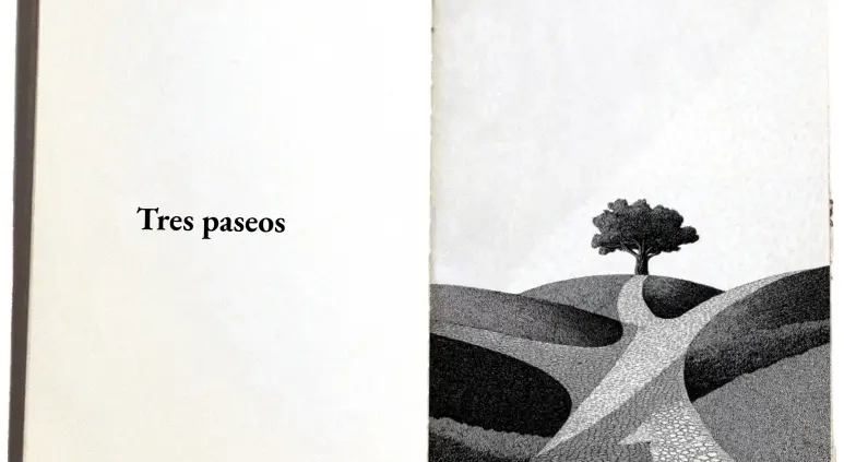 ilustración de una camino atravesando un campo