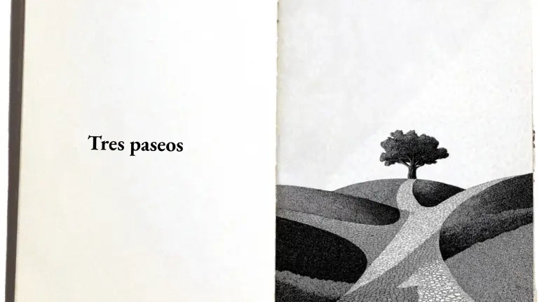 ilustración de una camino atravesando un campo